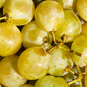 Muscat Muscat