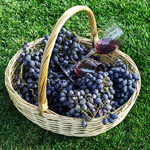 Ruby Cabernet Ruby Cabernet