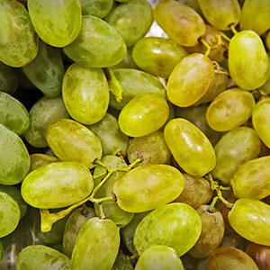 Thompson Seedless Thompson Seedless