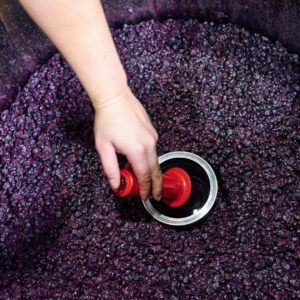 home wine-making