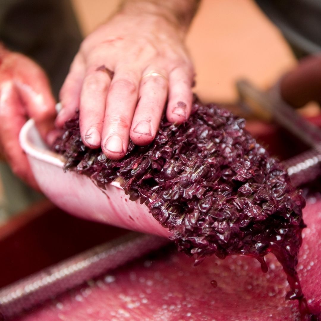 Complete Home WineMaking Equipment & Supplies Since 1972 Home